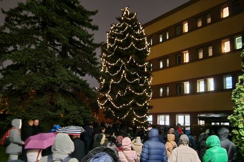 Rozsvěcení vánočního stromu MUP oslavilo 20 let Školy bez bariér
