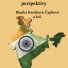 KNOTKOVÁ-ČAPKOVÁ, Blanka a kol. Indie z vnitřní i vnější perspektivy